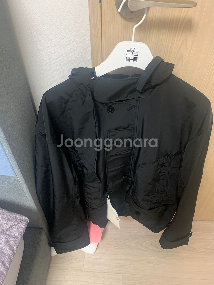 폴리테루 후디드--0