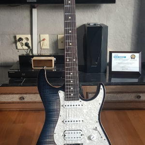 john suhr standard pro 존써 일렉기타