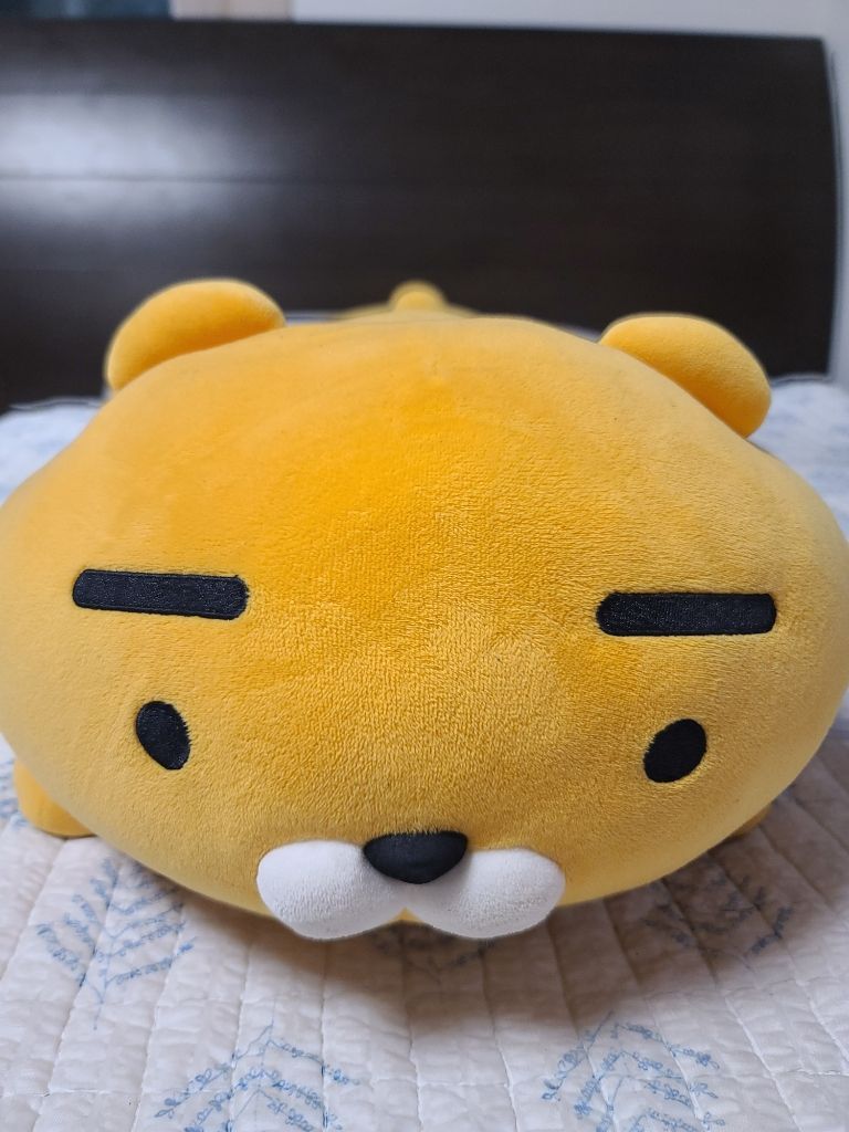 정품 카카오 라이언 인형 판매합니다 | 중고나라 - 안심되는 중고거래