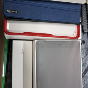 아이패드 미니5 + 애플펜슬1세대 64g wifi 스그