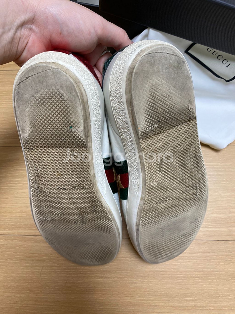 구찌 에이스 풀박 34+ 사이즈 225-230--1