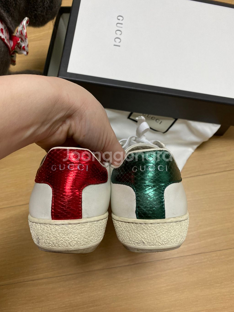 구찌 에이스 풀박 34+ 사이즈 225-230--2