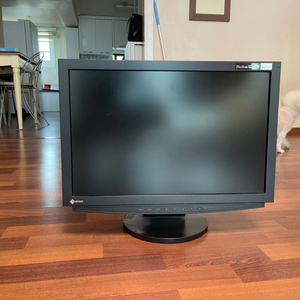 EIZO 모니터(FlexScan S2110W)