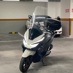 pcx125 2019년식 189만원 급처