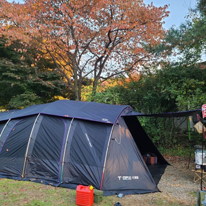 제드티맥스ex 블랙 풀세트 팝니다.