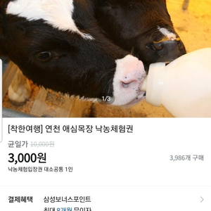 착한여행 애심목장 낙농체험권 / 포천 어메이징파크