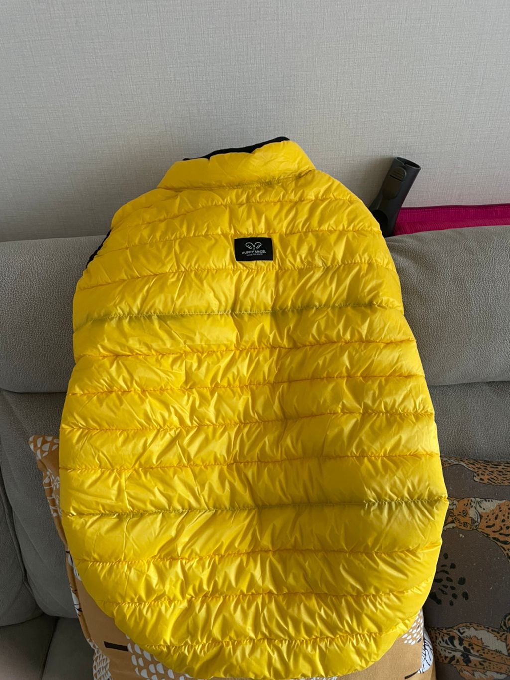 대형견패딩(퍼피엔젤6XL)