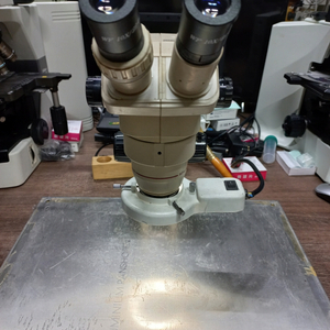 현미경 OLYMPUS SZ40 실체현미경