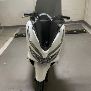 Pcx125 19년식