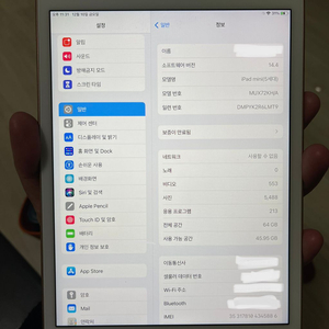 아이패드미니5 셀룰러 64g