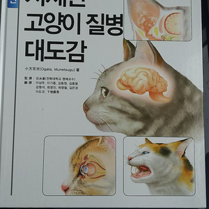 최신 자세한 고양이 질병 사전(중고책 팝니다)