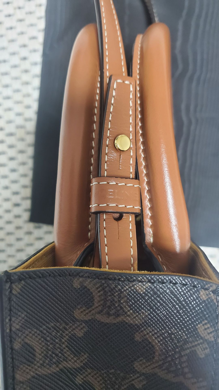 셀린느 카바스백 미니--5