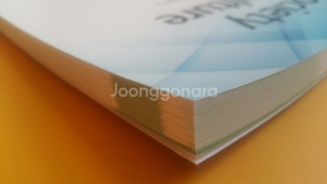 메가스터디 서호성 이해로 통하는 개념완성 사화문화--6