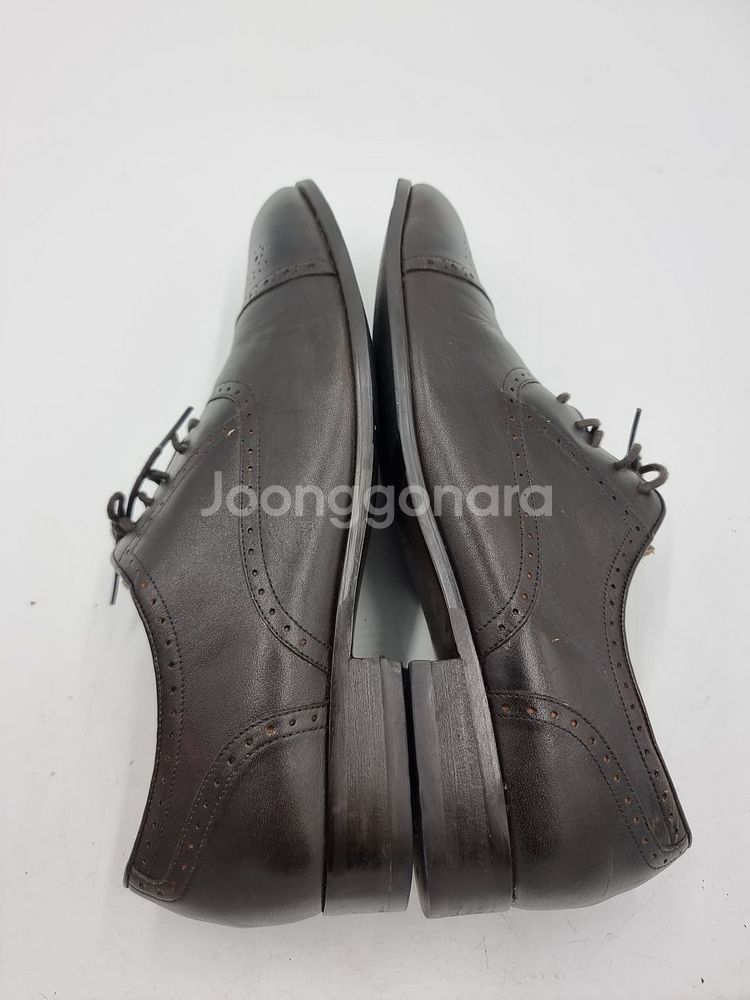 탠디 남성정장구두280--3