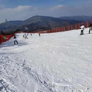 베어스타운 시즌권 구해봅니다