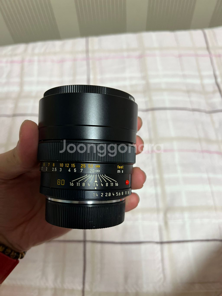 라이카 summilux-r 80mm--1