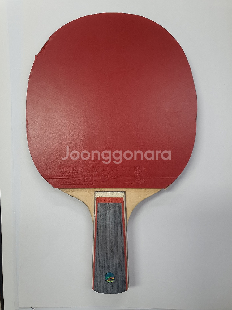 프리모락 카본 중펜--0