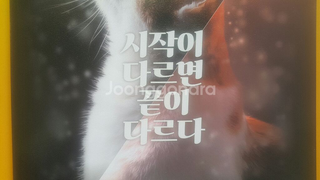 메가스터디 국어 전형태 시작이 다르면 끝이 다르다--0