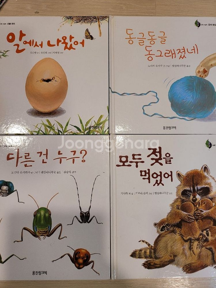 웅진씽크빅 반딧불 과학그림책 58권 과학도서--1