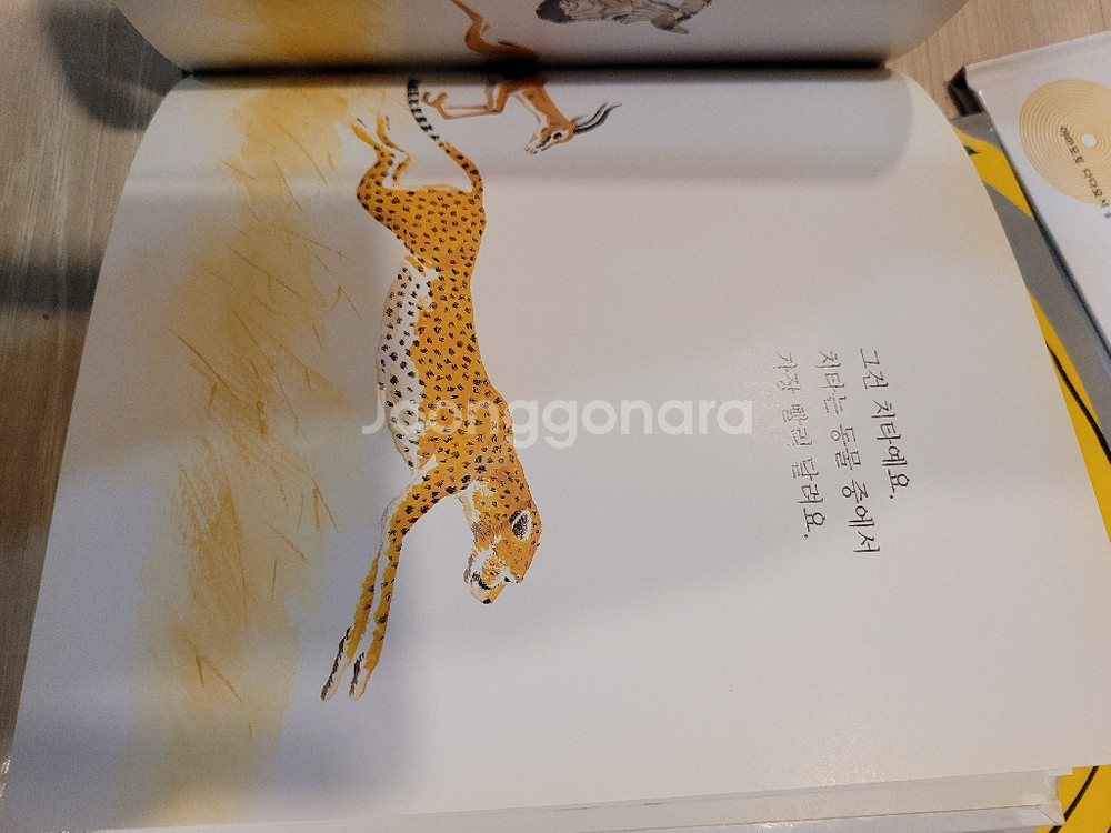 웅진씽크빅 반딧불 과학그림책 58권 과학도서--5