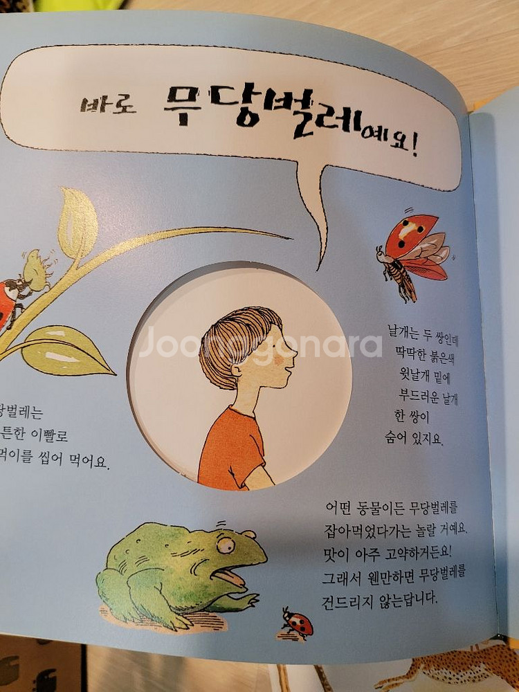 웅진씽크빅 반딧불 과학그림책 58권 과학도서--3