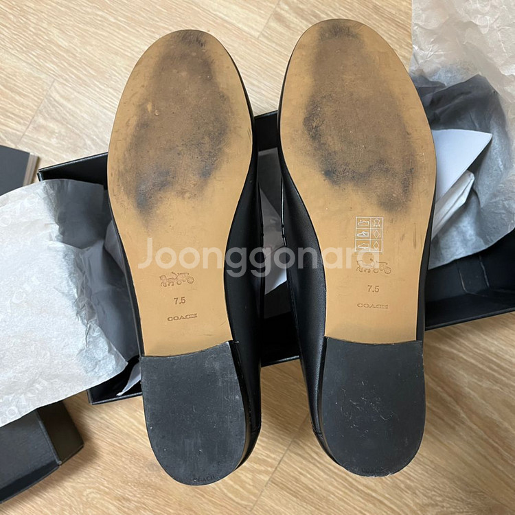 코치 헤일리로퍼 7.5 블랙--5