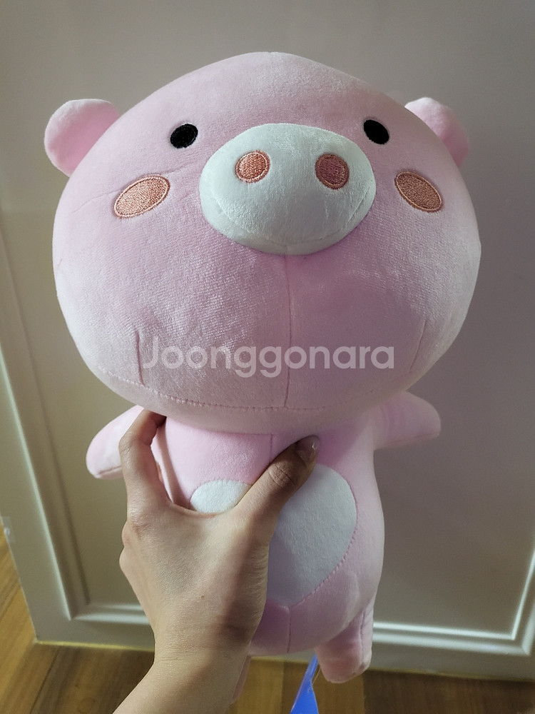 신협 어부바인형--1