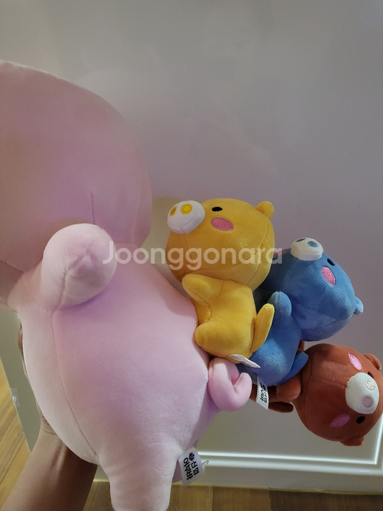 신협 어부바인형--0