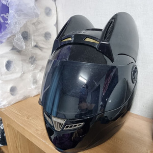 고양이 오토바이 헬멧