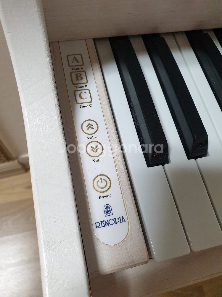 레노피아 어린이 피아노 49건반 직거래 4만원--3