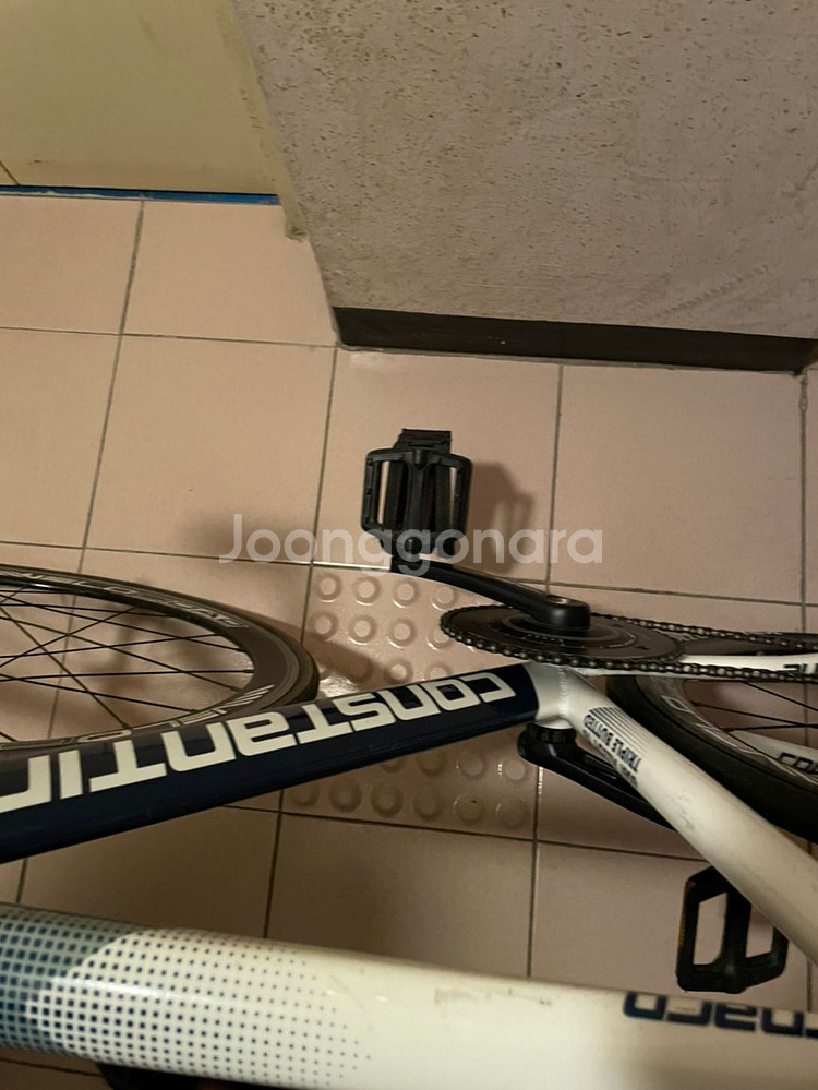 콘스탄틴버나드2018년씩팝니다--2