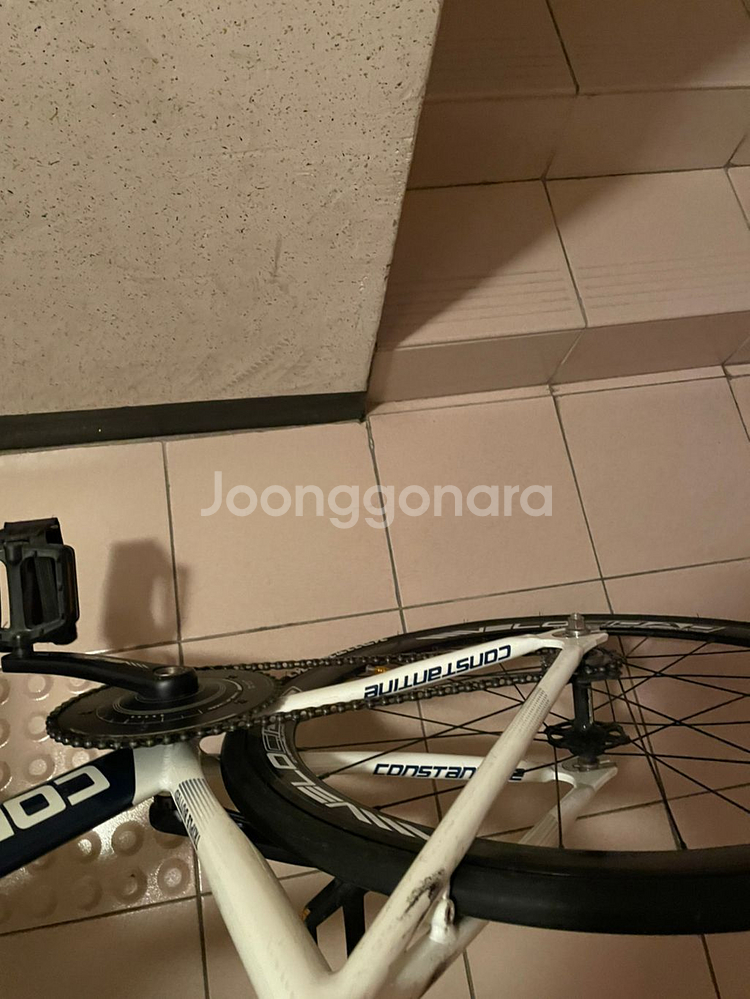 콘스탄틴버나드2018년씩팝니다--4