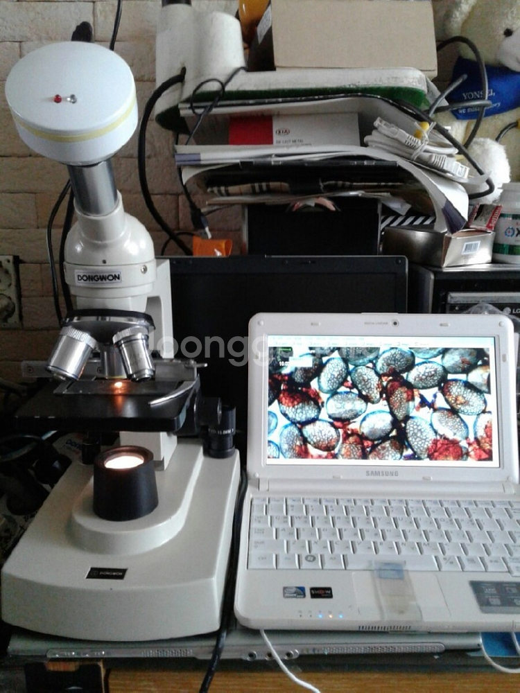 enc-dum-900-ccd