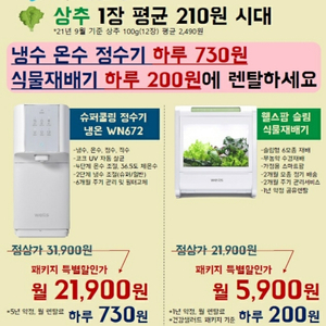 식물재배 웰스팜 + 정수기 패키지