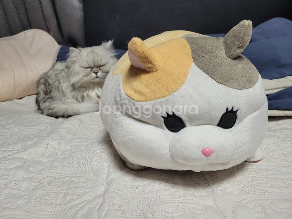 파판14 뚱냥이 인형--0