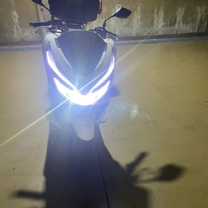 pcx125 혼다 19년식