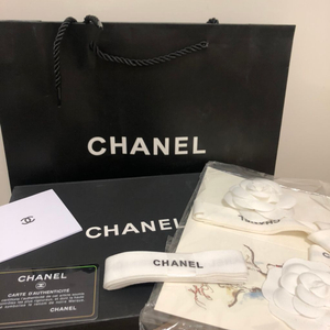 샤넬 chanel 19백