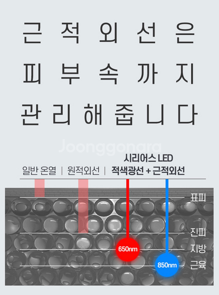시리어스 LED 프로 근적외선 온열 찜질기 신형--4