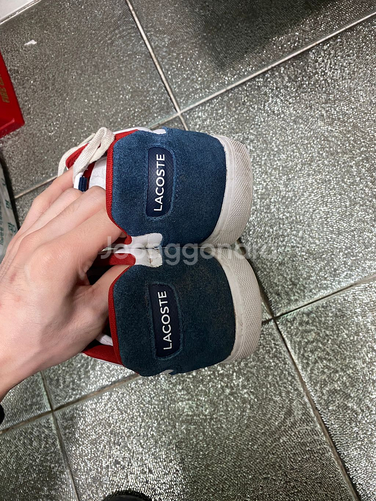 라코스테 유로파 280--2