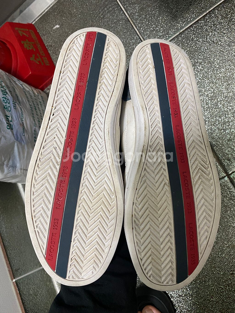 라코스테 유로파 280--1