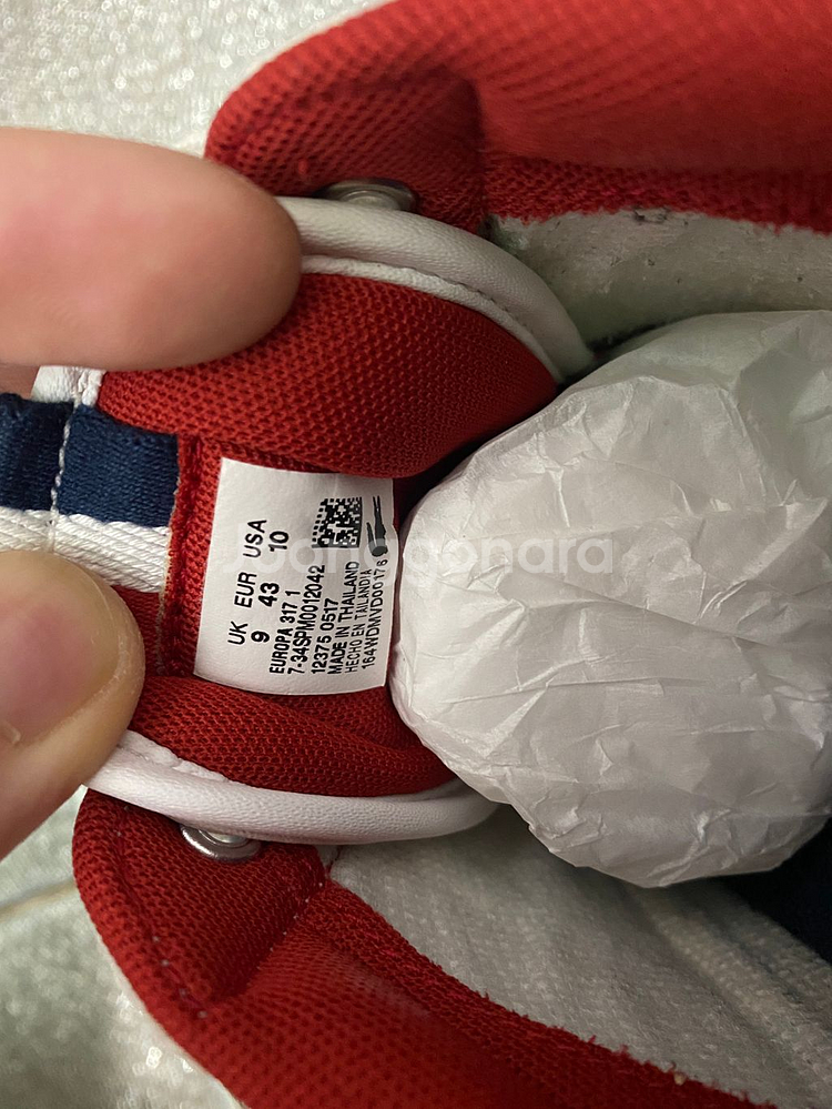 라코스테 유로파 280--3