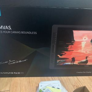 휴이온 kamvas22 pro