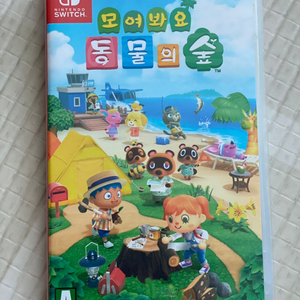 닌텐도 스위치 동물의숲