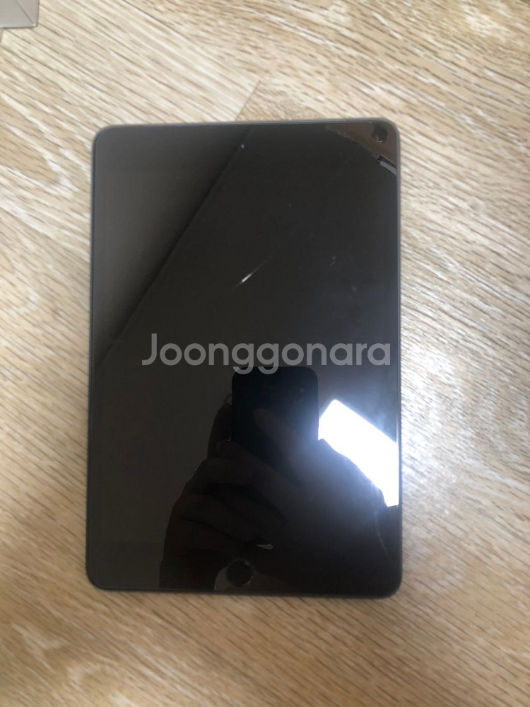 아이패드미니5 셀룰러(LTE) 256GB + 애플펜슬--1