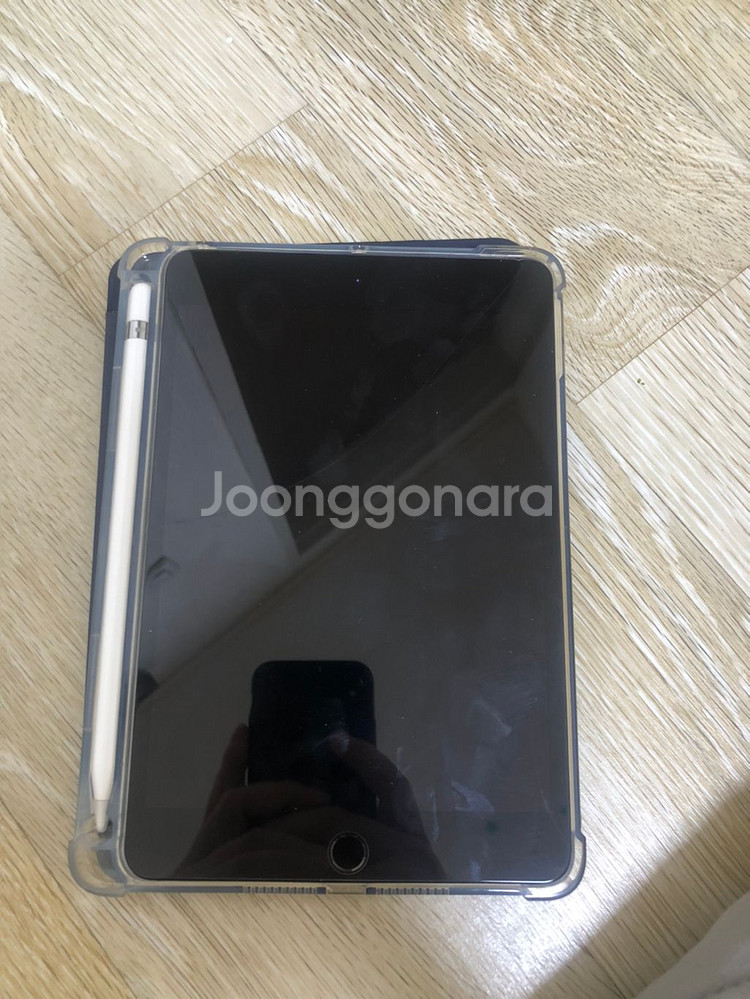 아이패드미니5 셀룰러(LTE) 256GB + 애플펜슬--6