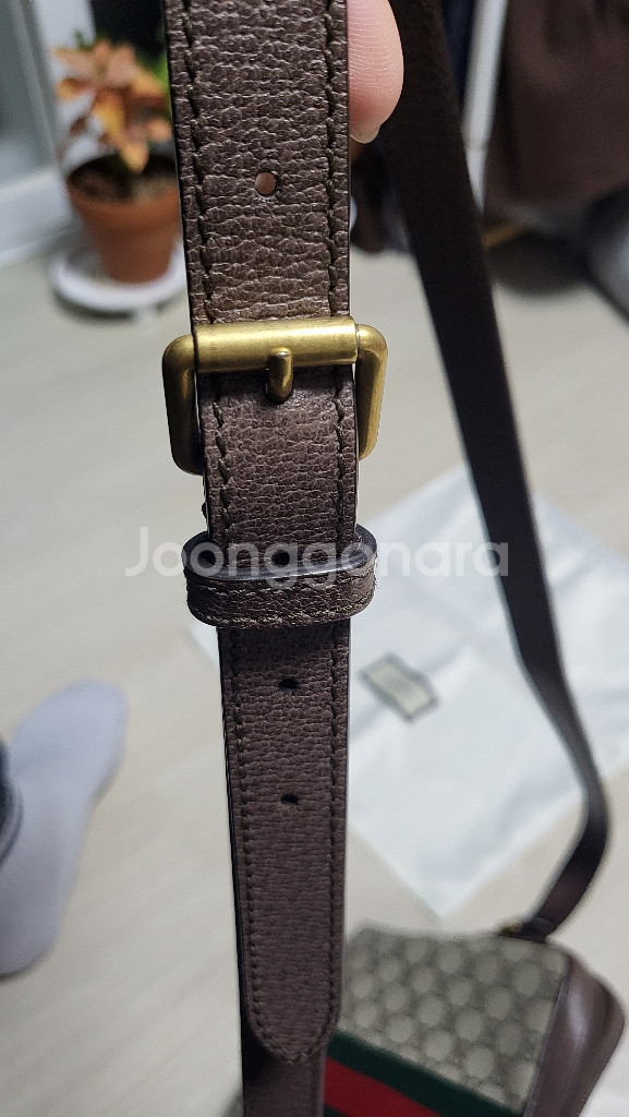 구찌 GG 오피니아 스몰 메신져백--4