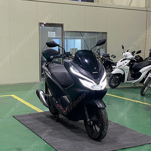 [판매] 혼다 PCX125 2019년식 7000km 깔끔한상태 좋은가격에 판매합니다.