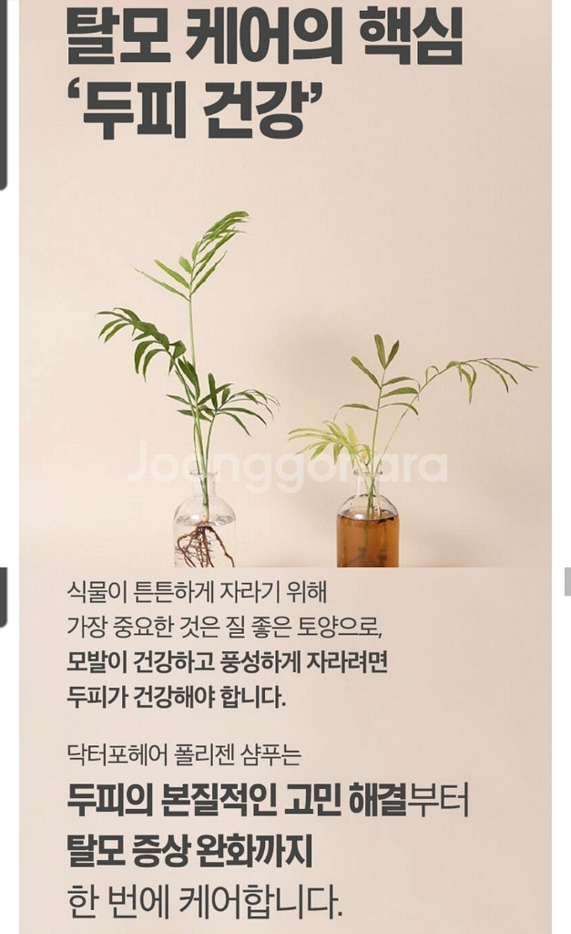 닥터포헤어 폴리젠 탈모방지샴푸--4