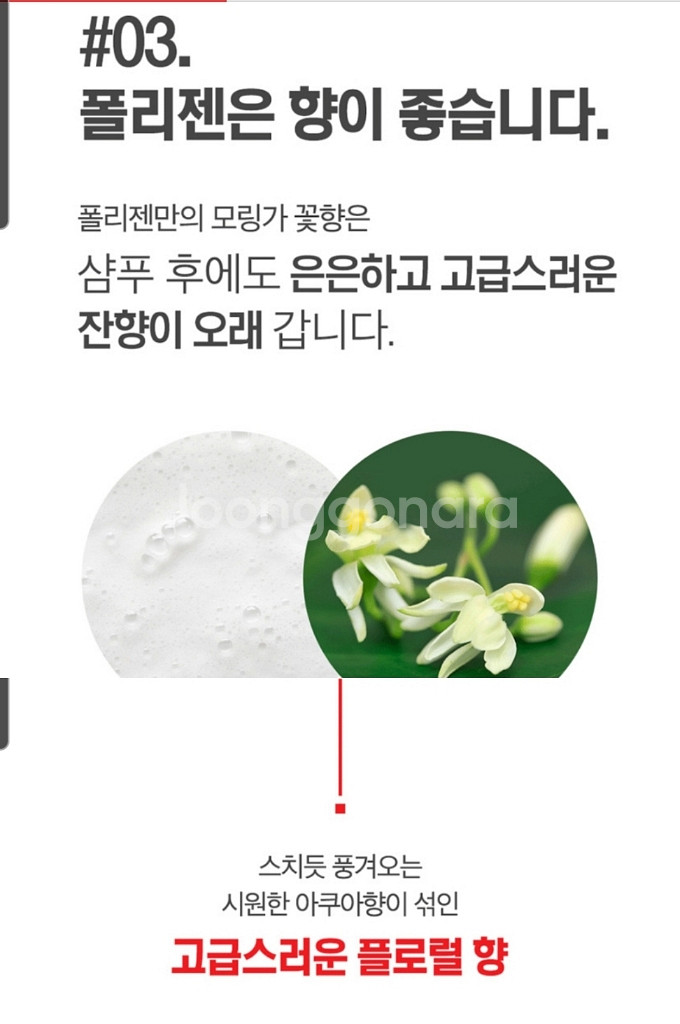 닥터포헤어 폴리젠 탈모방지샴푸--9