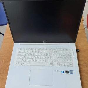 lg노트북 그램 i7 256G 17인치